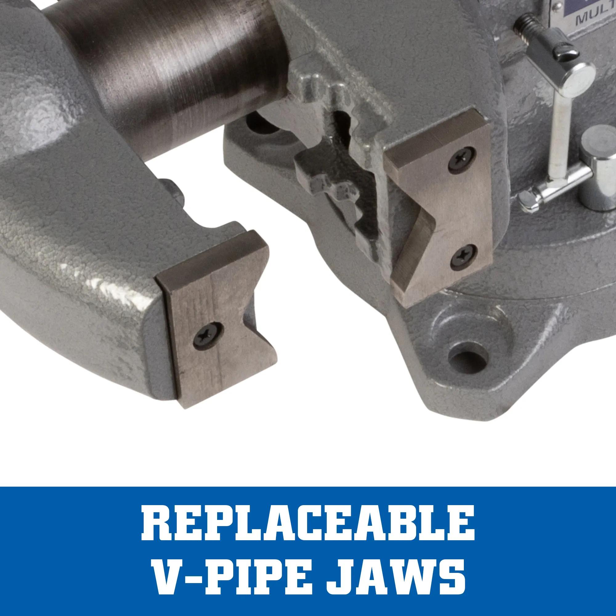 5-1/2 in. Apprentice Multi-Purpose Bench Vise