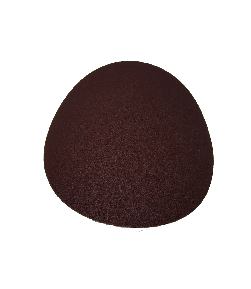 Sanding Disc for JSG-96 (JSG96-115)