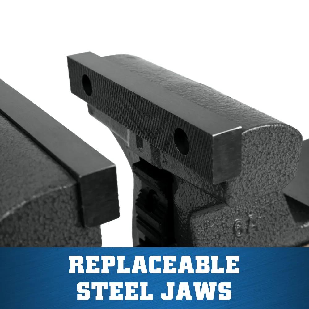 6 in. Mechanics Vise with Swivel Base