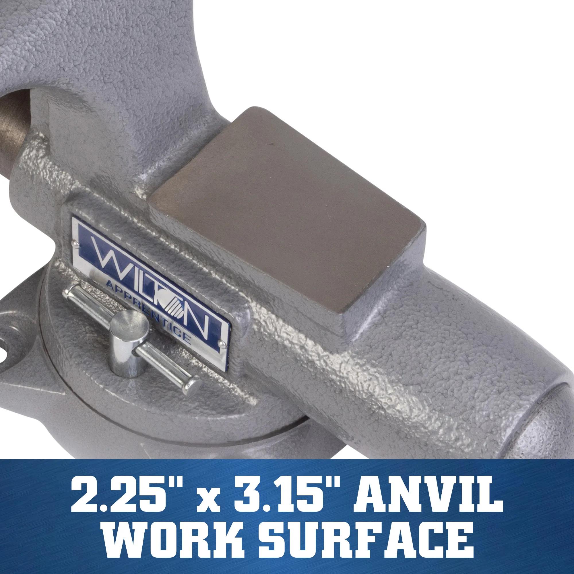 5 in. Apprentice Bench Vise