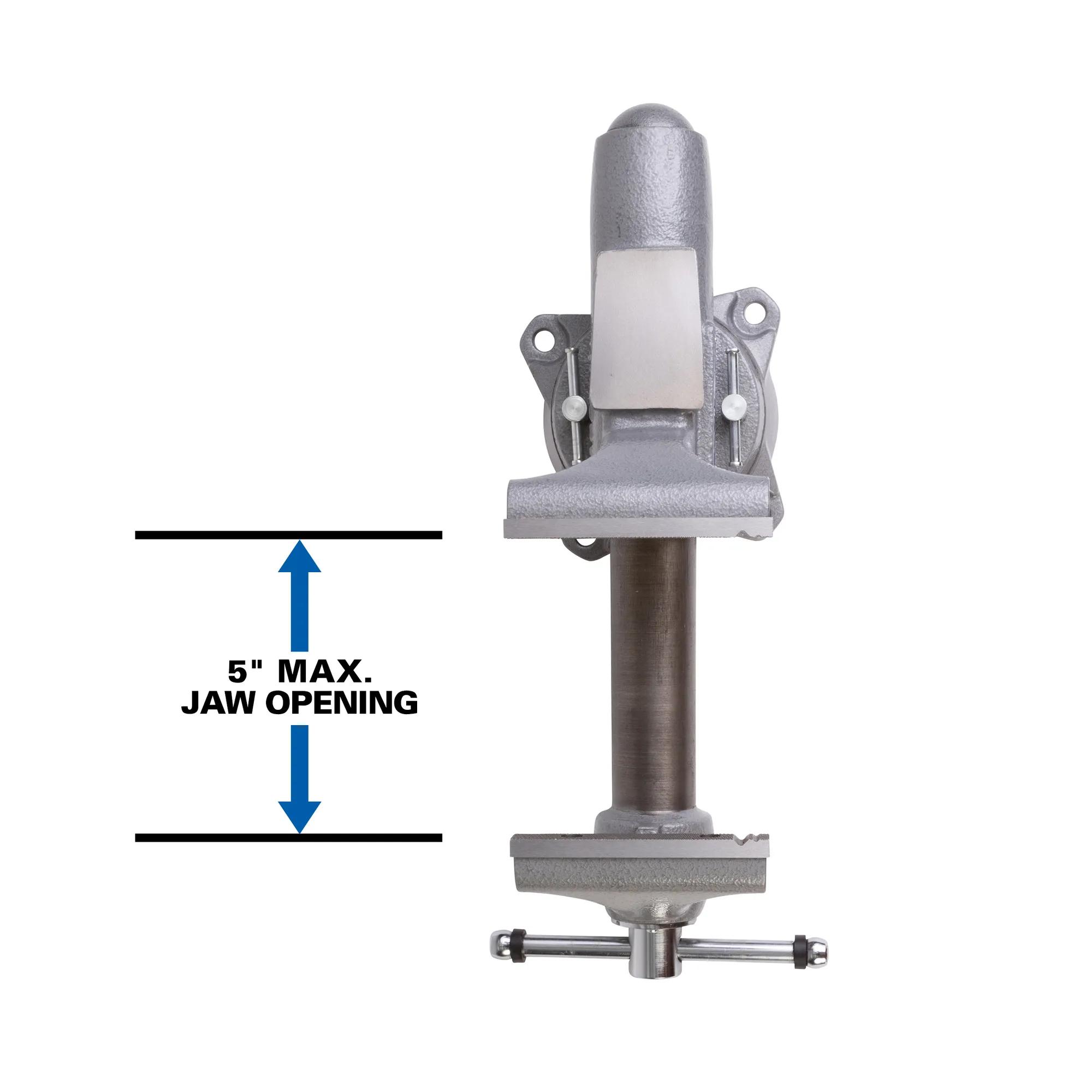 5 in. Apprentice Bench Vise