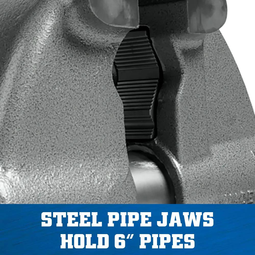 5 in. Combination Pipe and Bench Vise with Swivel Base