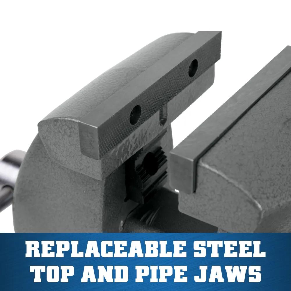 5 in. Mechanics Vise with Swivel Base