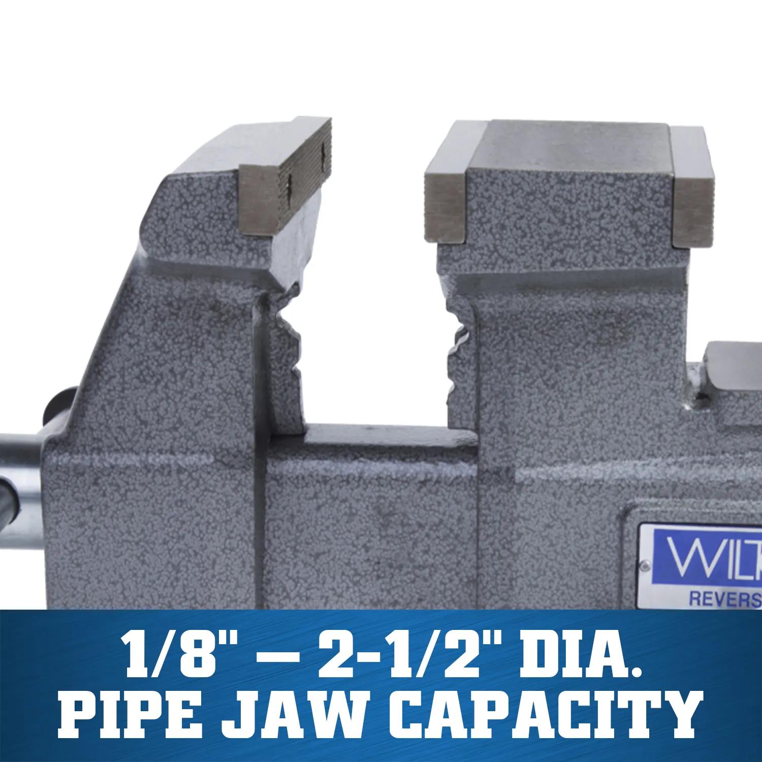 5-1/2 in. Reversible Bench Vise with 360-Degree Swivel Base