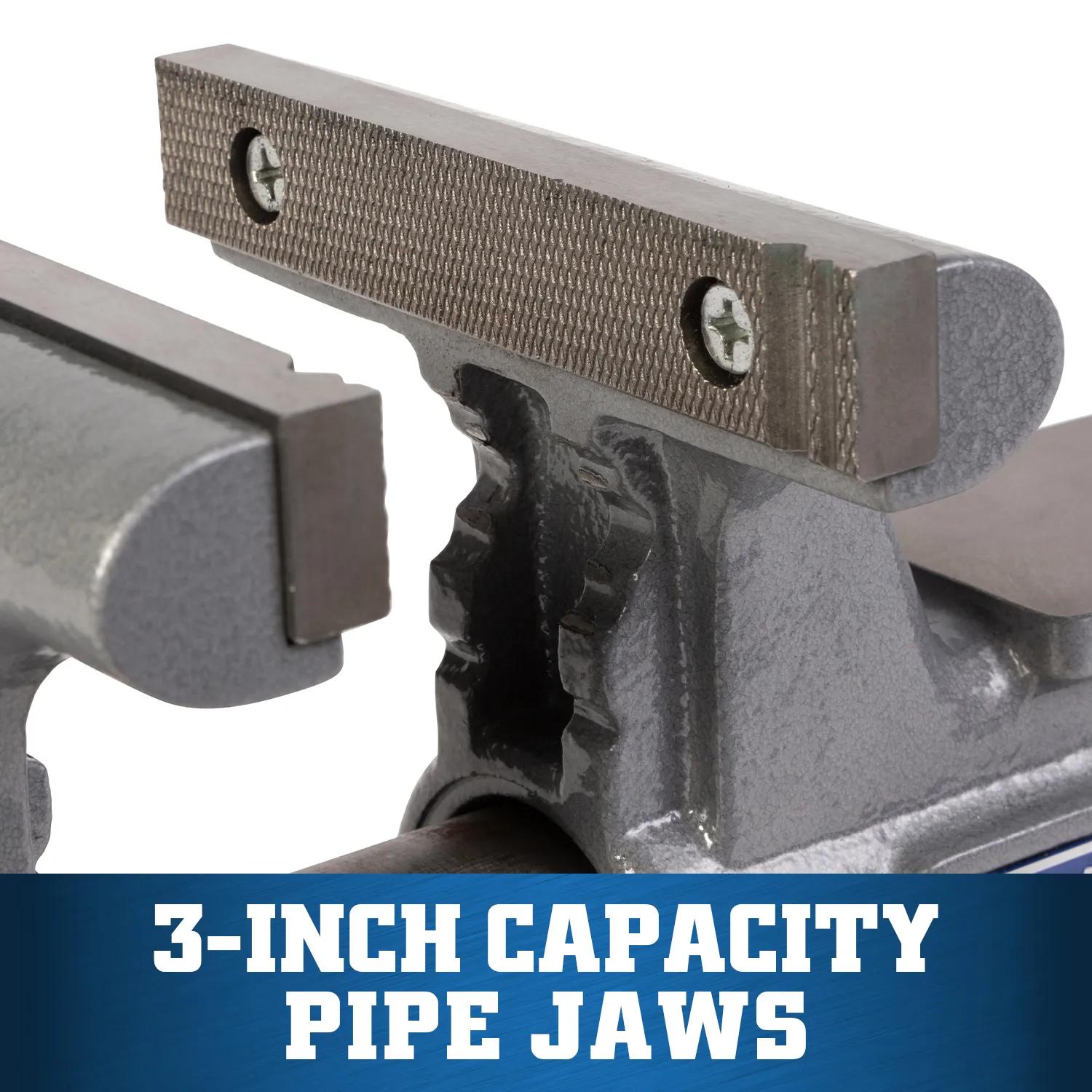 6 in. Apprentice Bench Vise