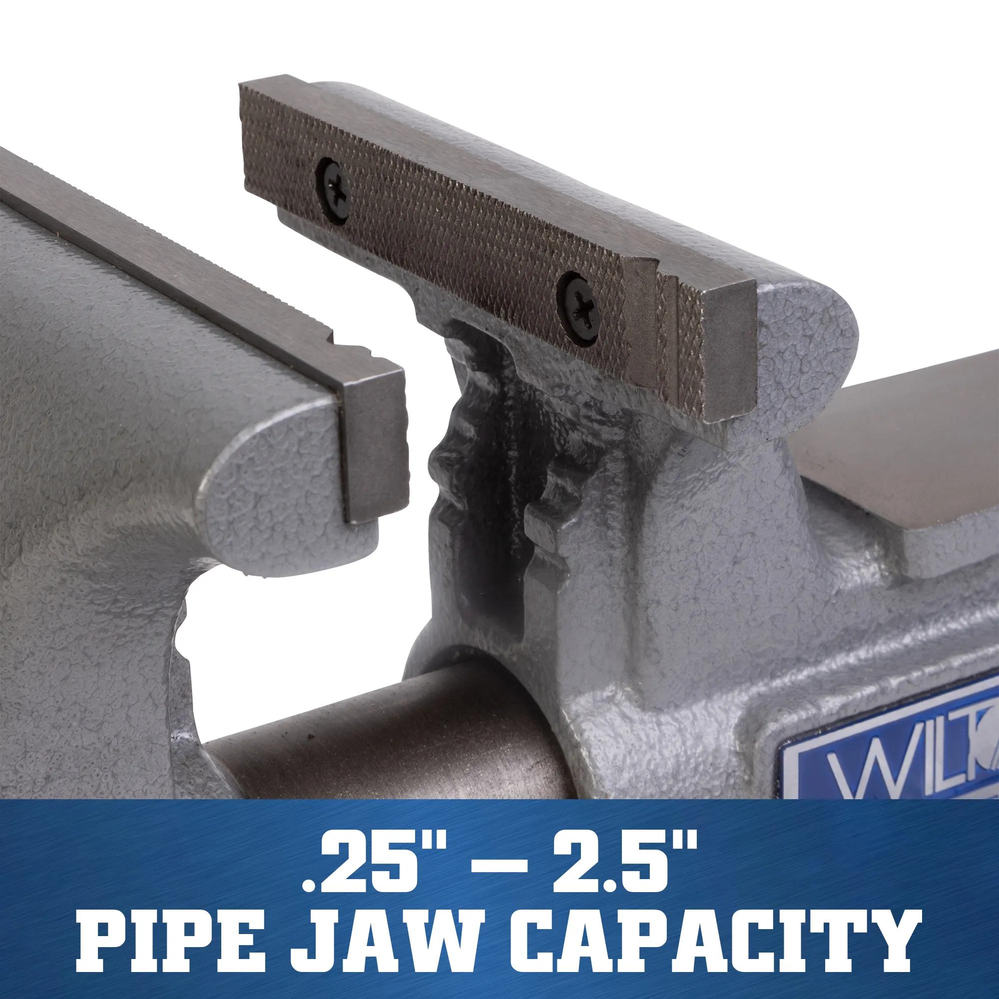 5 in. Apprentice Bench Vise