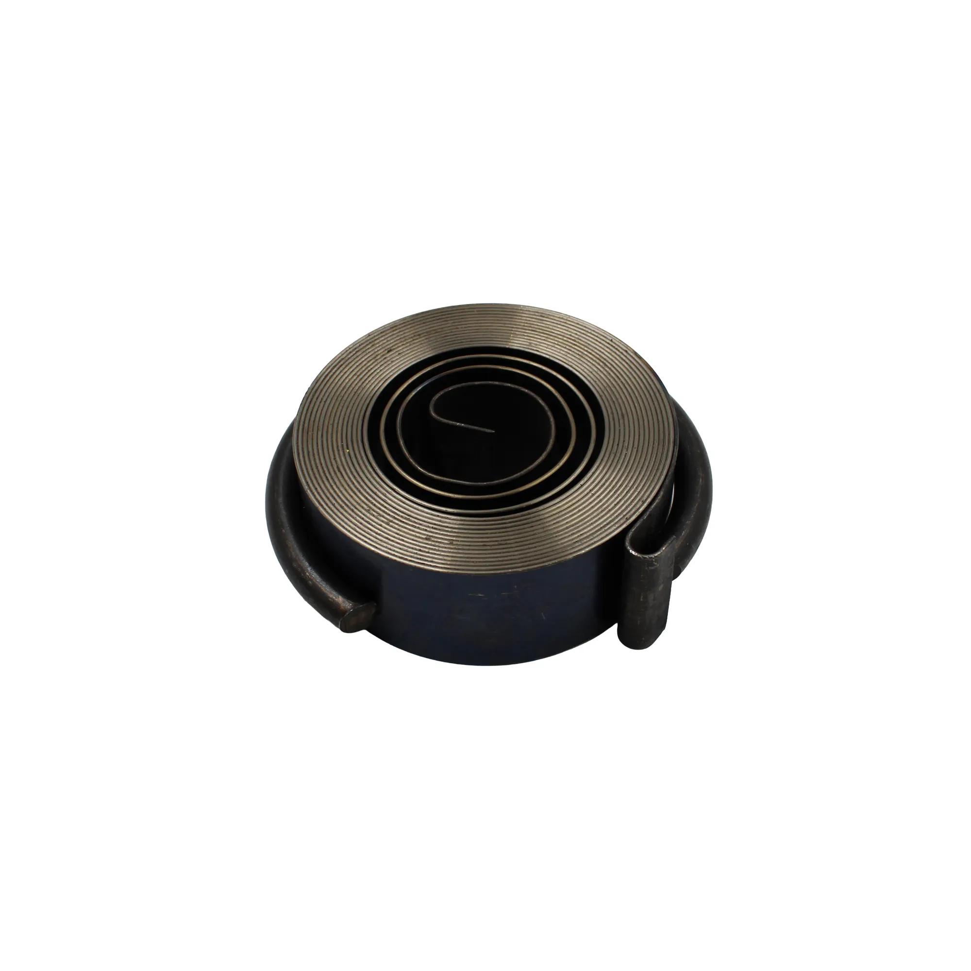 Sprng 18209 (6813026)