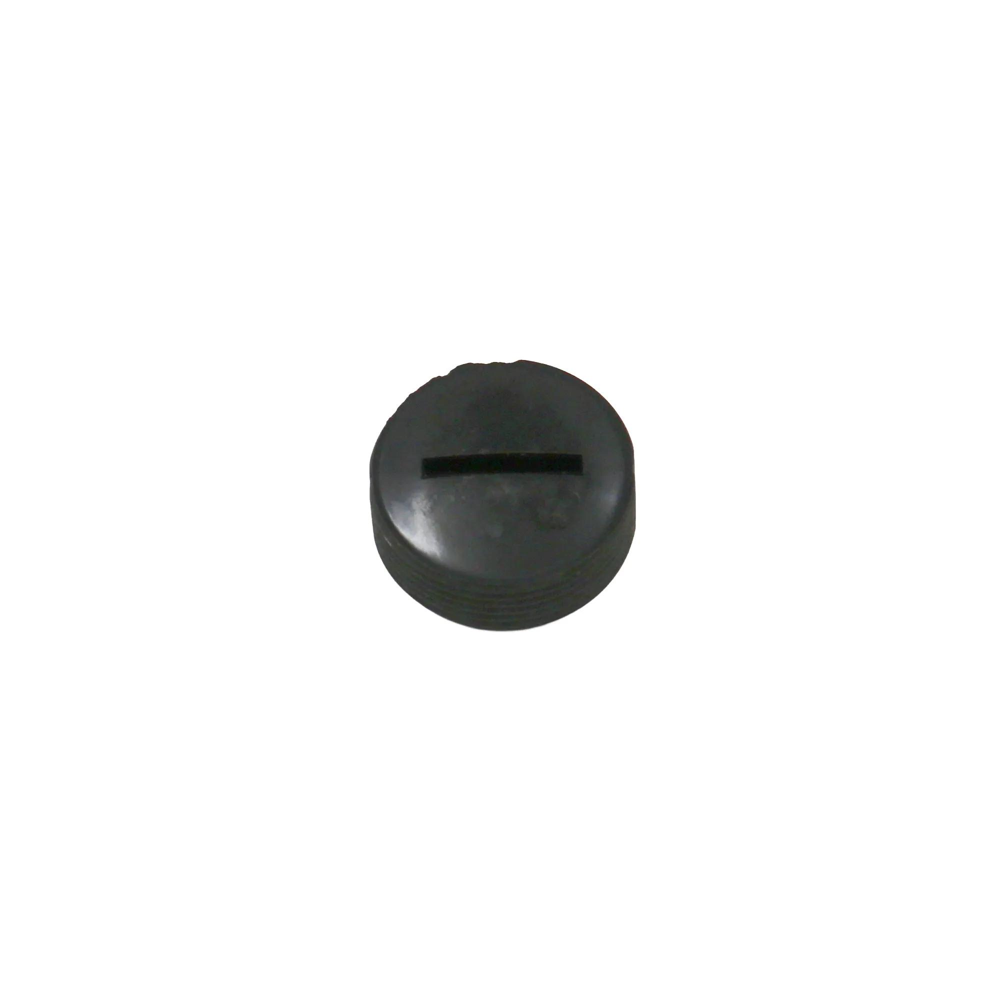 Motor Carbon Brush Cap Not Shown | PM2820EVS-MCBC