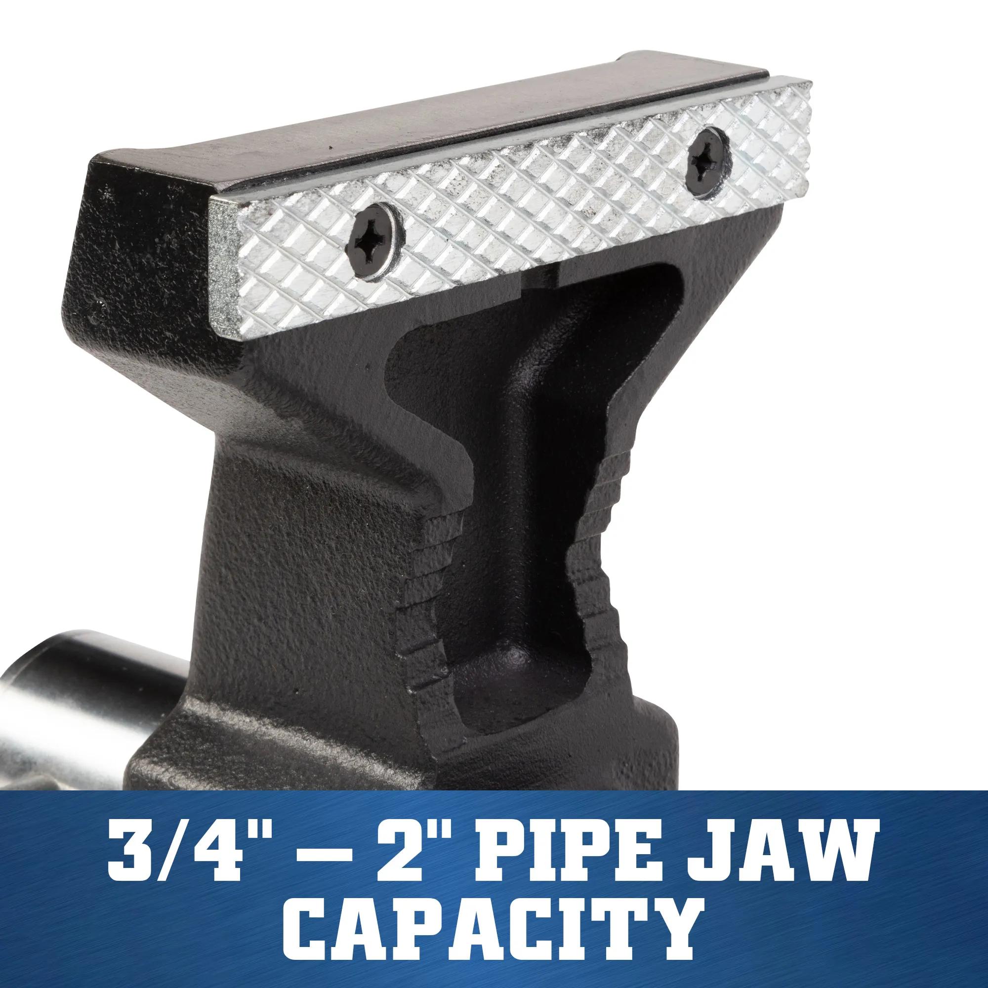 5 in. ATV All-Terrain Vise