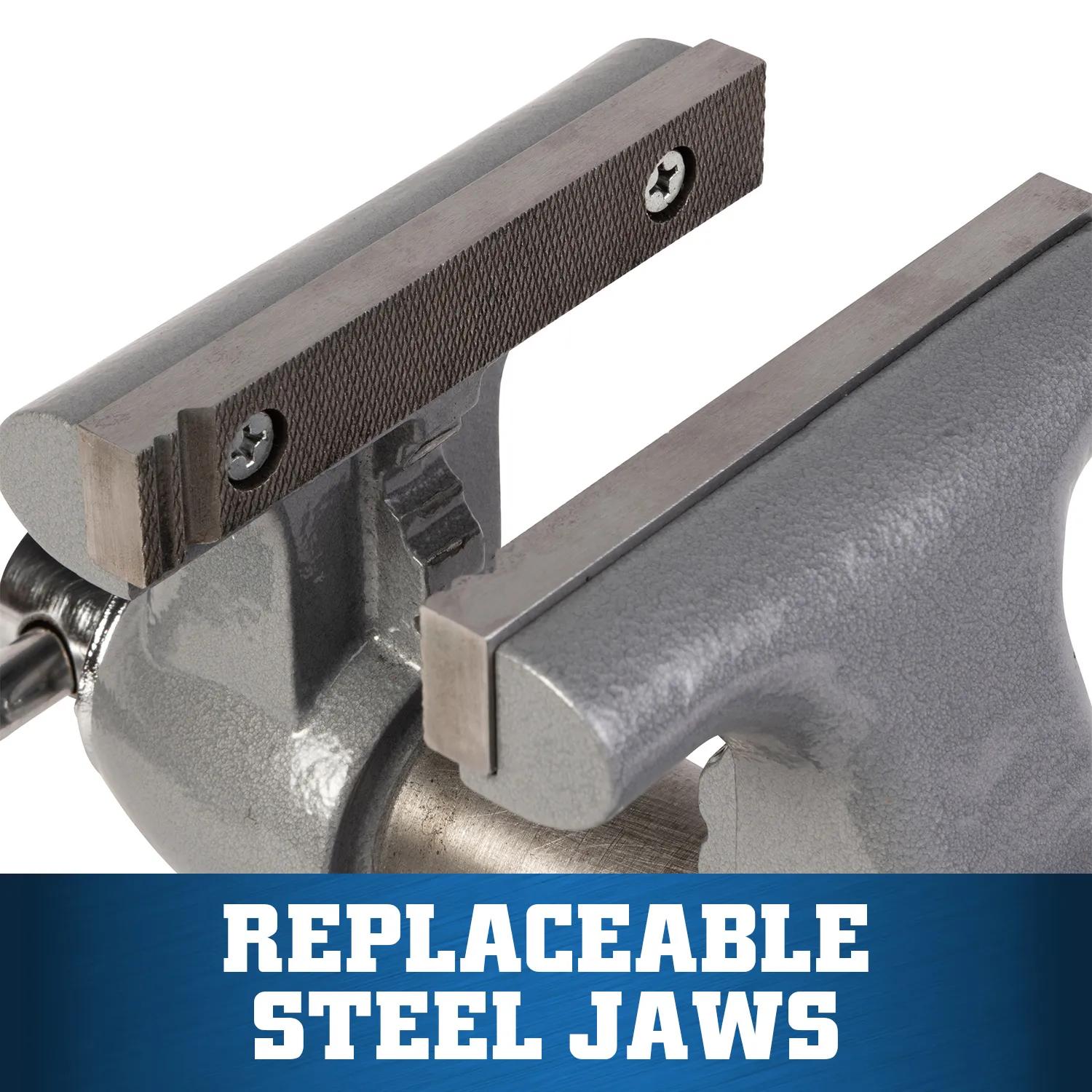 6 in. Apprentice Bench Vise