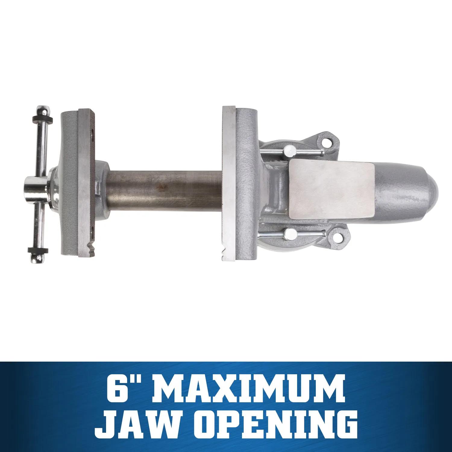 6 in. Apprentice Bench Vise