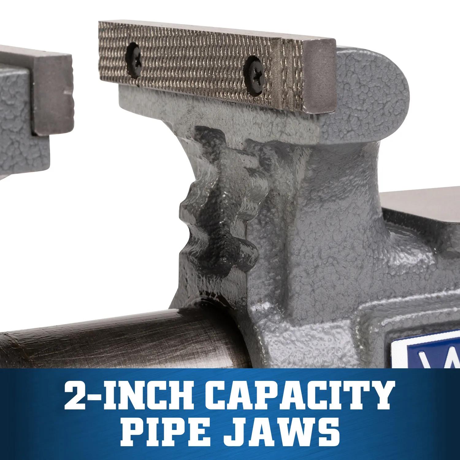 4 in. Apprentice Bench Vise