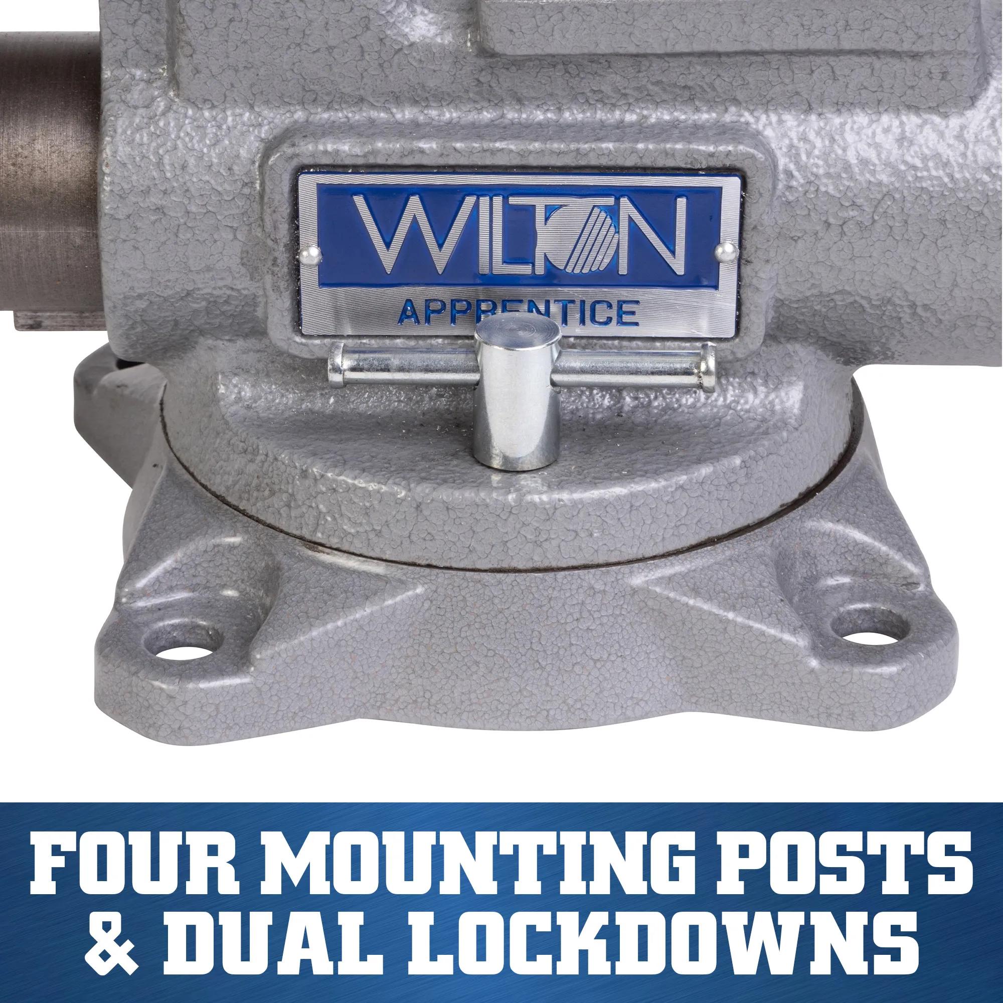 5 in. Apprentice Bench Vise