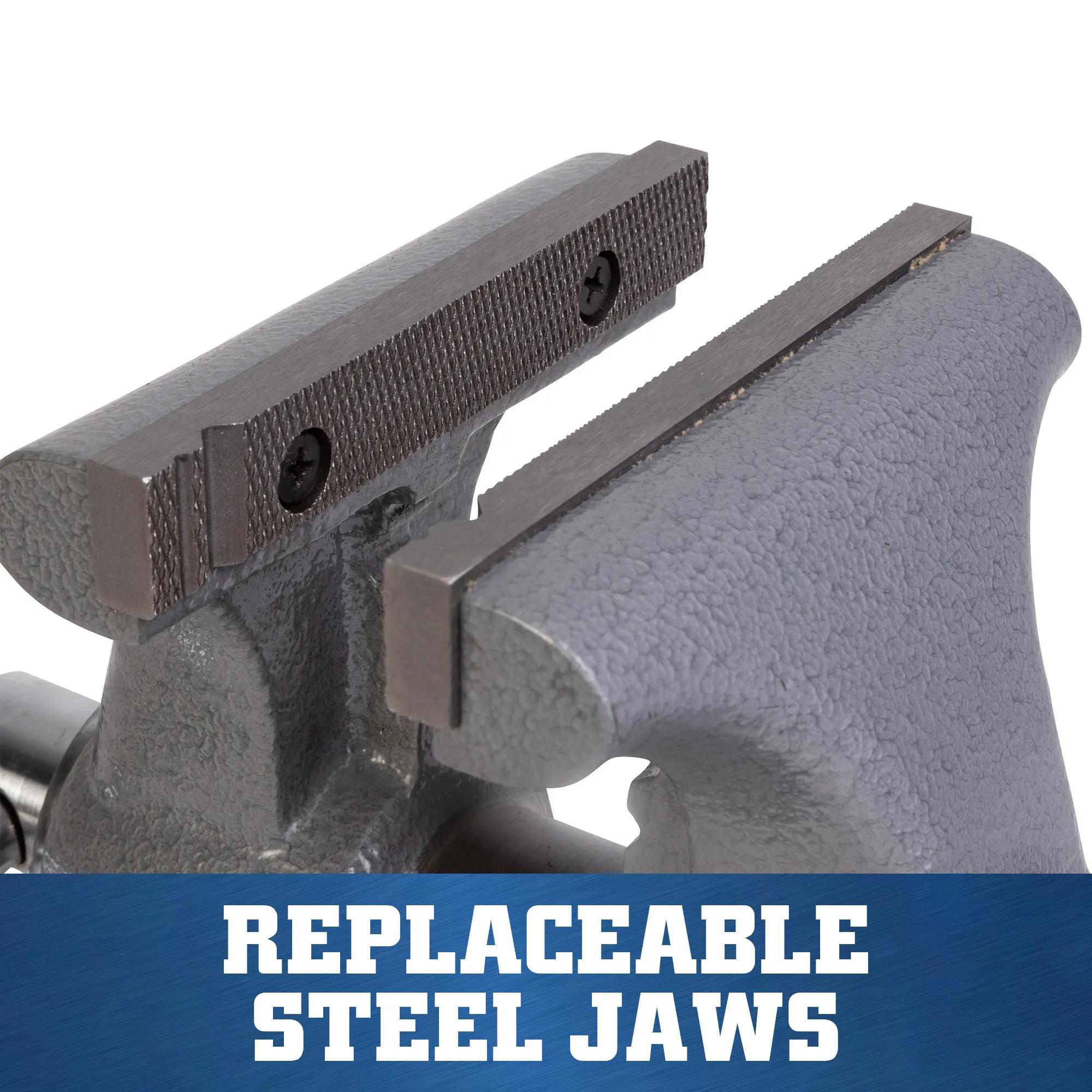 5 in. Apprentice Bench Vise